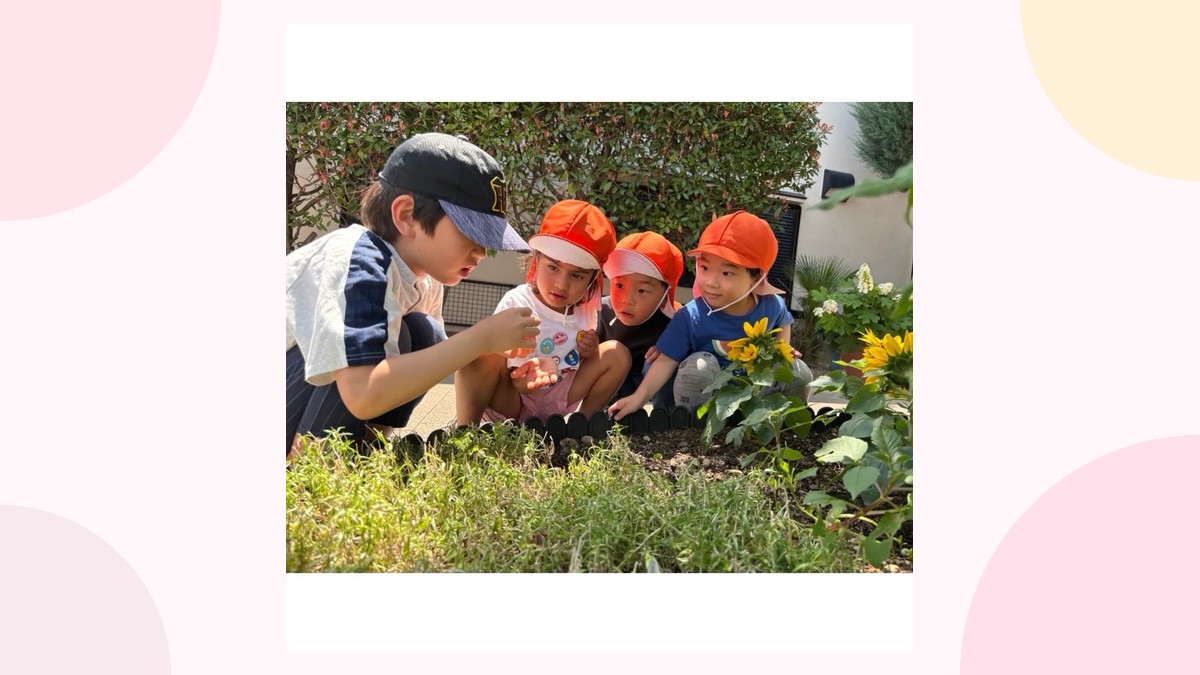 花壇で植物を見る子どもたち